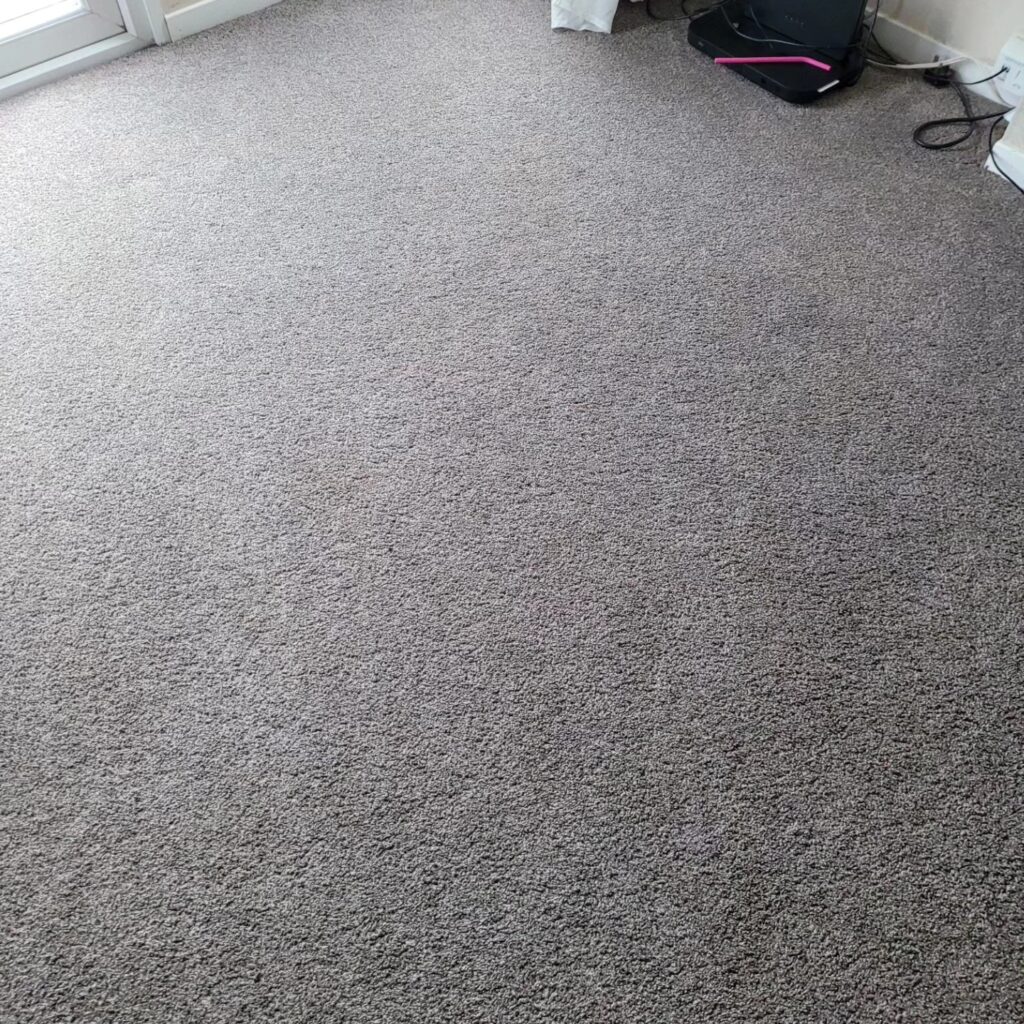 Carpet Cleaning Folkstone