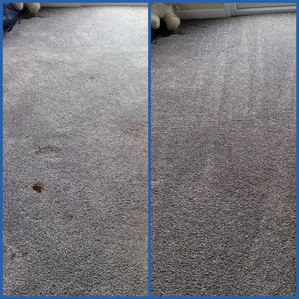 Carpet Cleaning Experts Folkstone