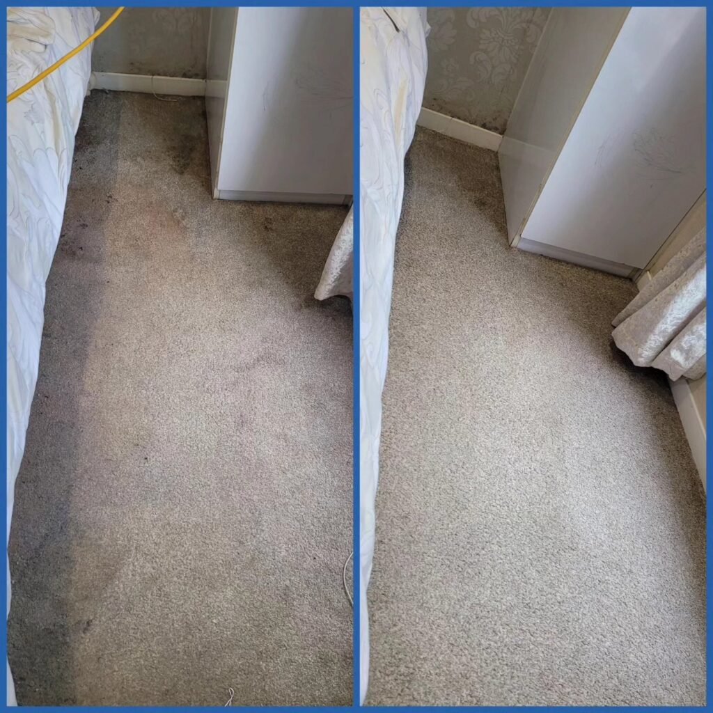 Carpet-cleaning-experts